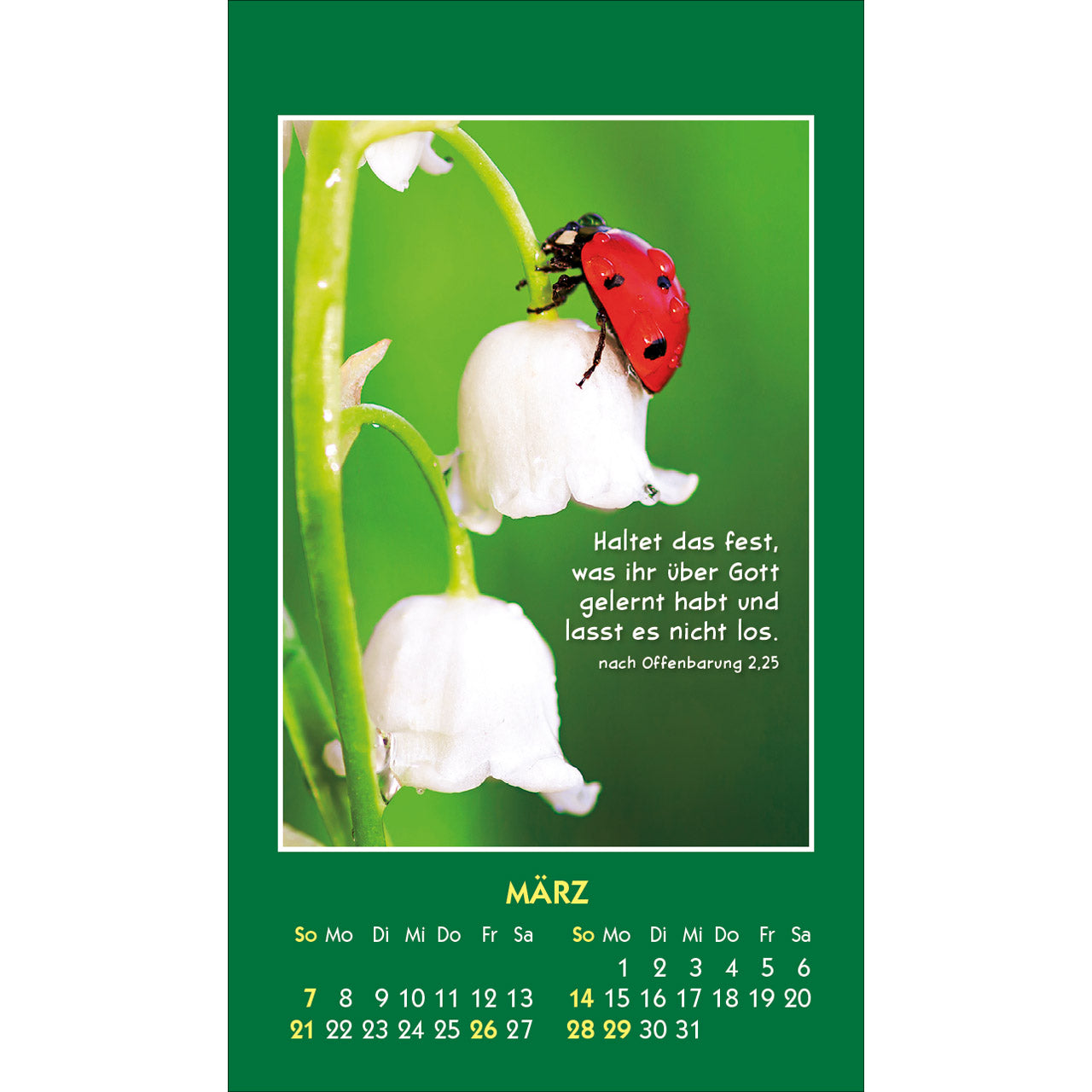 fontis-kalender-hallo-du-2027-aufkleberkalender-tiere image 5