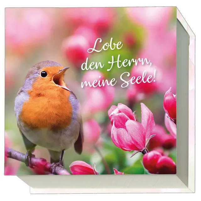 fontis-papeterie-lobe-den-herrn-meine-seele-notizblock-11x11-cm image 1