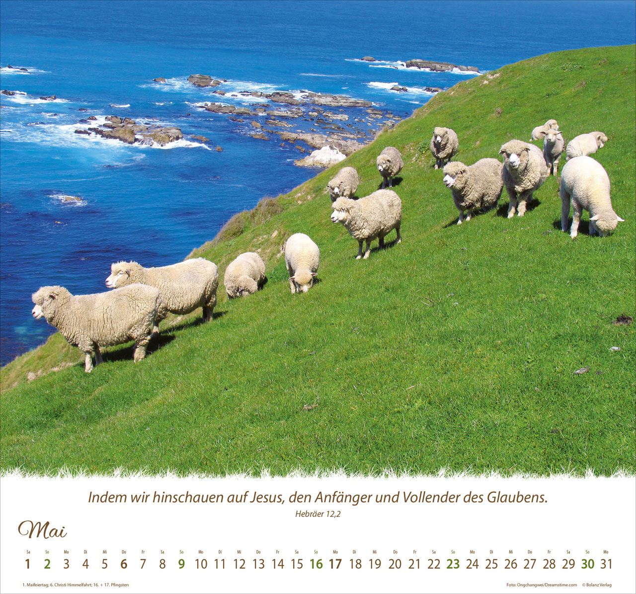 fontis-kalender-ein-leben-f-r-die-schafe-2027-wandkalender image 7