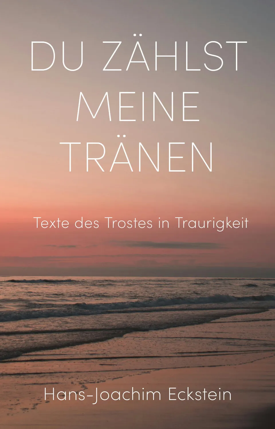 fontis-e-books-du-z-hlst-meine-tr-nen-e-book-eckstein image 1