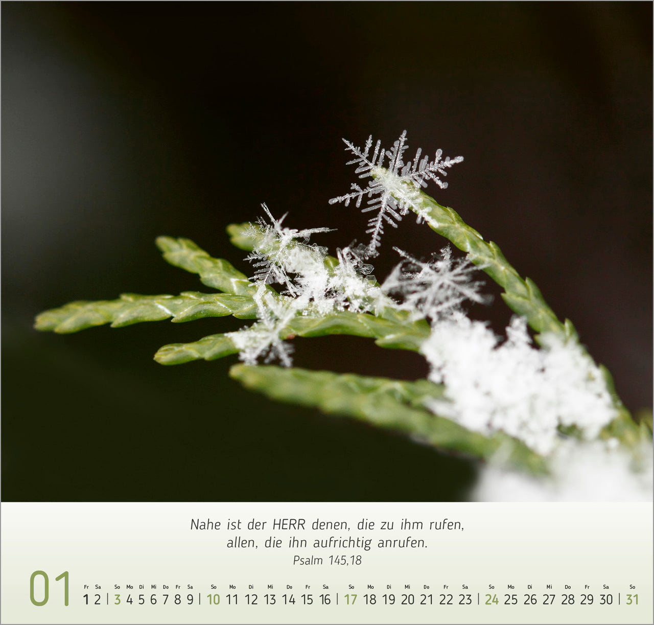 fontis-kalender-gesichter-der-natur-2027-wandkalender-bibelverse image 3