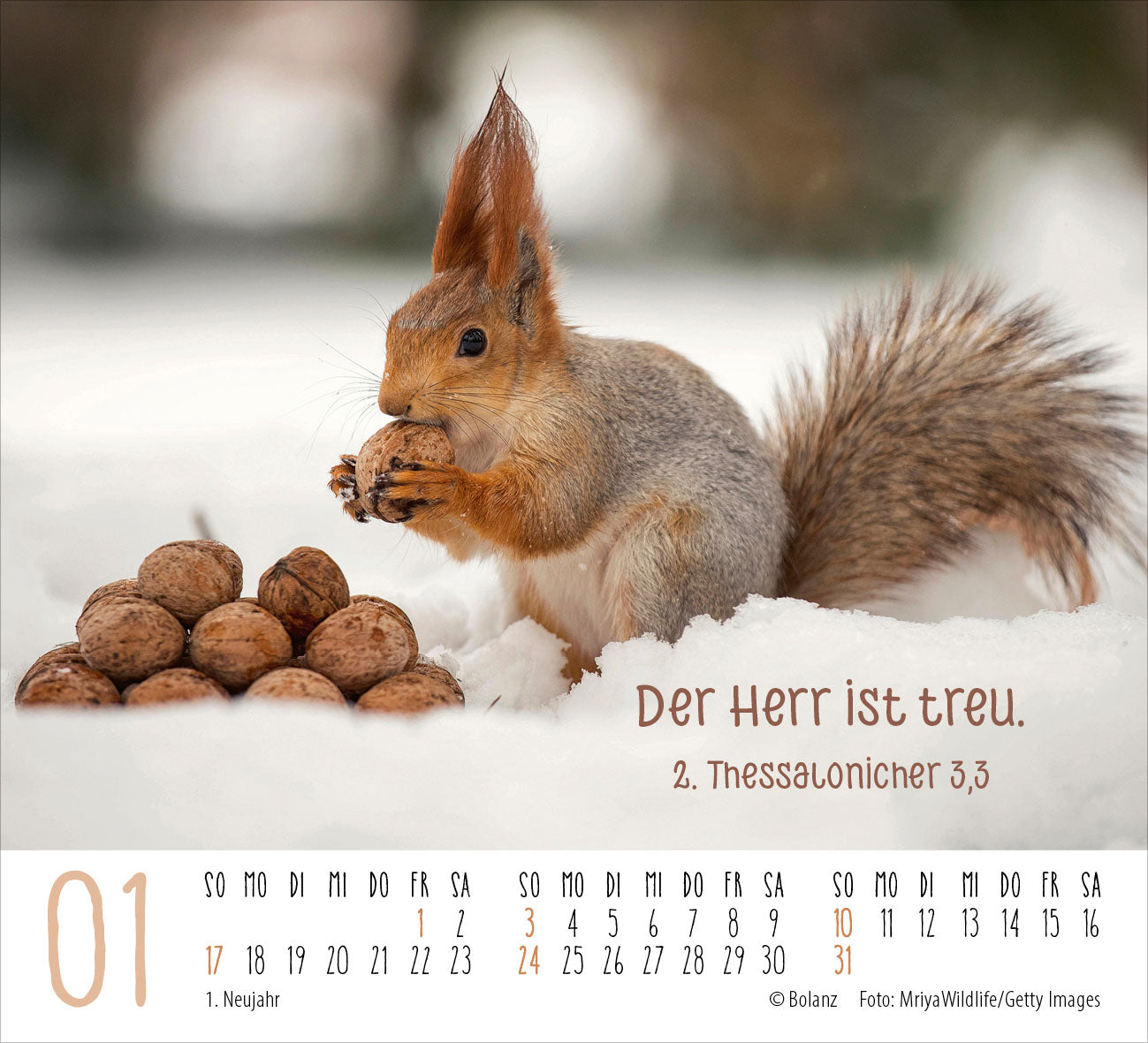 fontis-begegnungen-dich-vergess-ich-nie-minikalender-2027 image 3