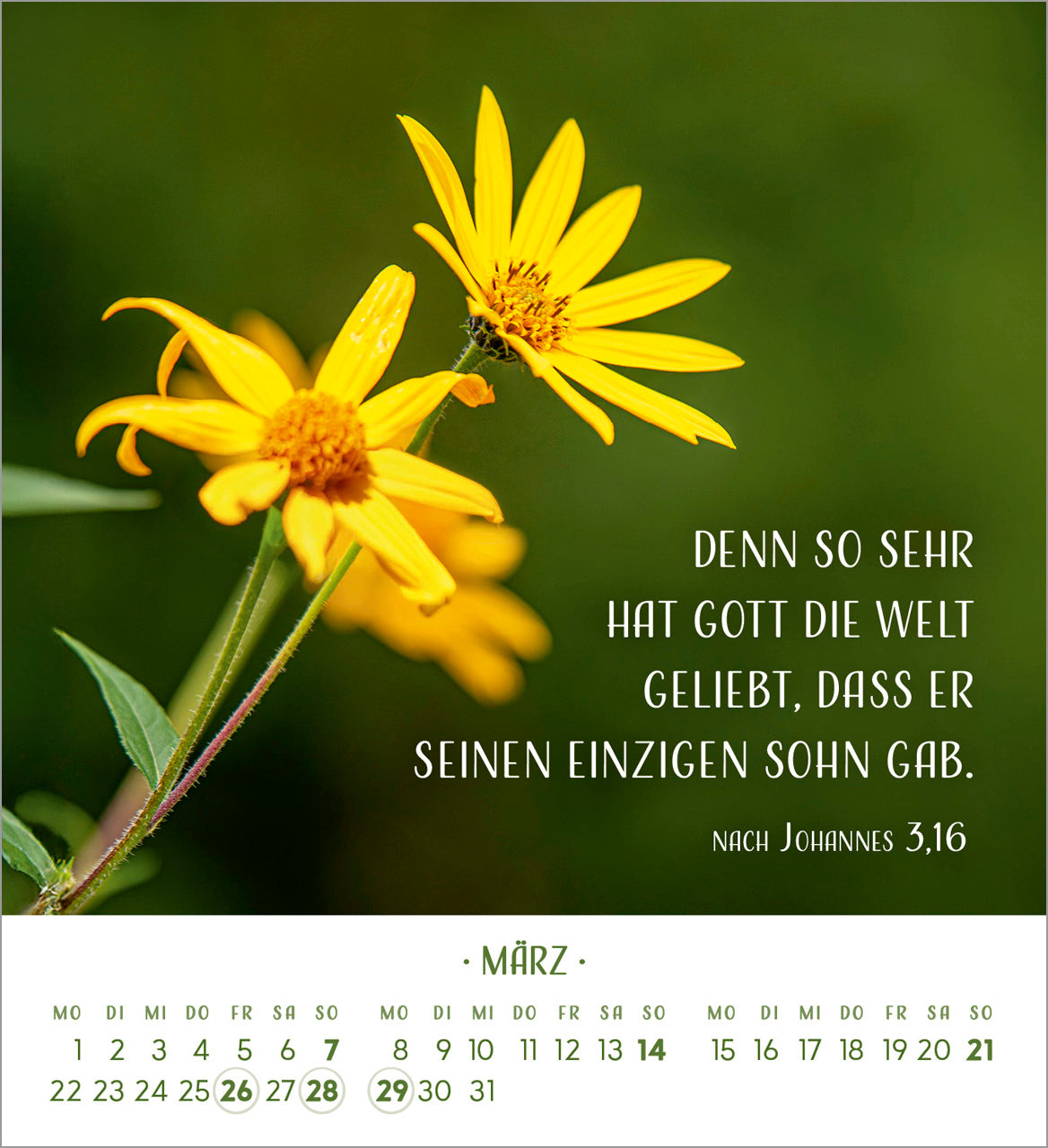 fontis-zarte-blumengr-e-2027-aufstellkalender image 5