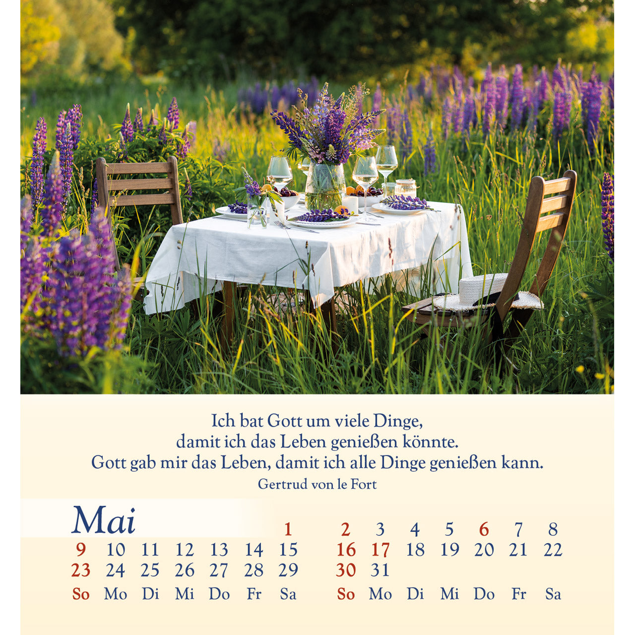 fontis-licht-f-r-deine-seele-2027-aufstellkalender-natur image 7
