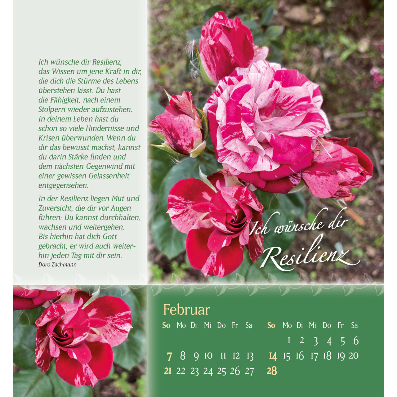 fontis-kalender-rosenduft-mit-besten-w-nschen-2027-aufsteller image 4