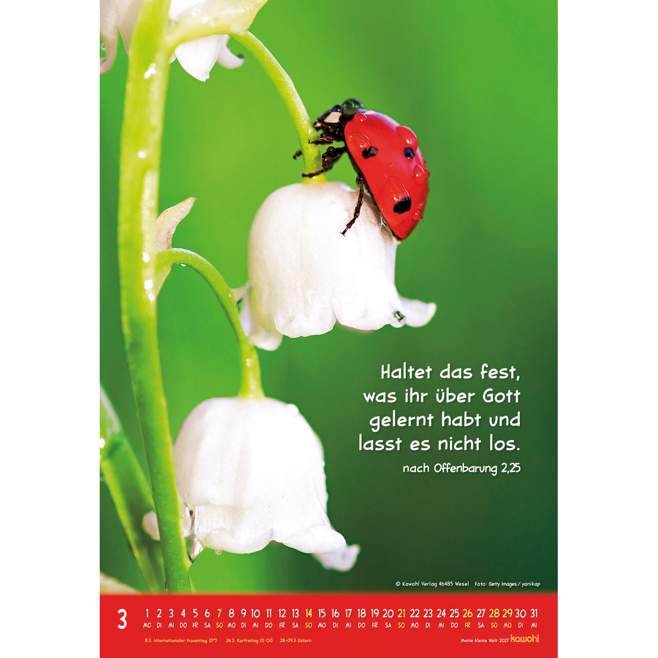 fontis-meine-kleine-welt-2027-wandkalender-f-r-kinder-tierfotos image 5