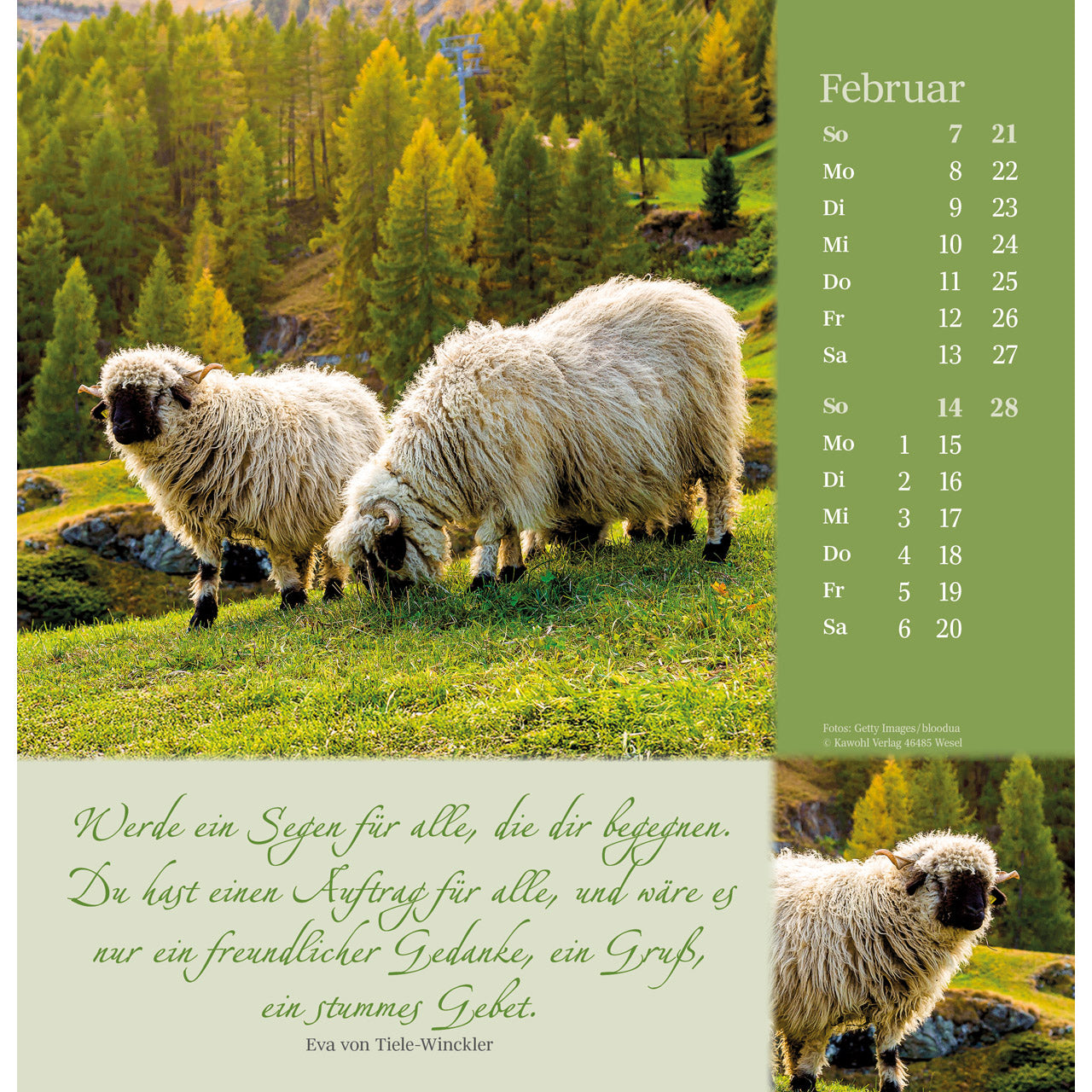 fontis-kalender-sei-beh-tet-auf-allen-wegen-2027-wandkalender image 4