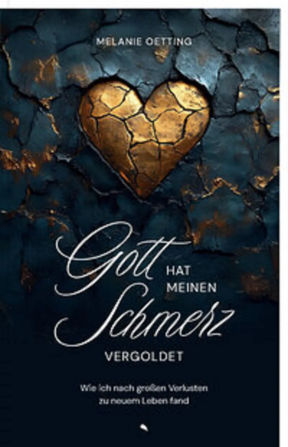 fontis-e-books-gott-hat-meinen-schmerz-vergoldet-e-book-biografie image 1