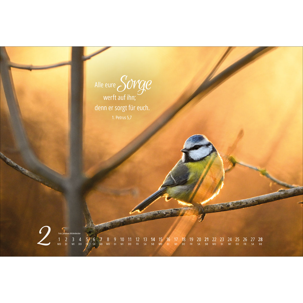 fontis-kalender-real-wildlife-2027-wandkalender image 4