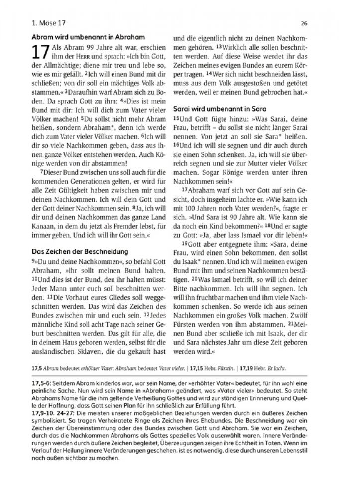 fontis-bibeln-die-bibel-f-r-die-zweite-chance-neues-leben-bibel image 2
