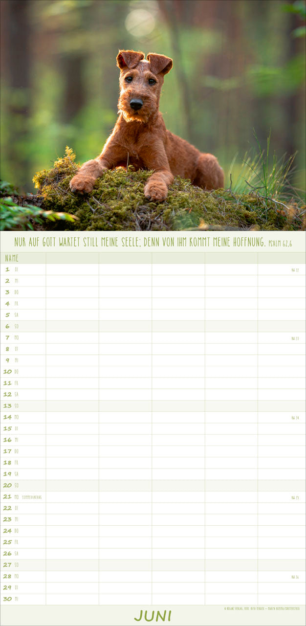 fontis-kalender-hunde-freunde-f-rs-leben-2027-familienplaner image 8