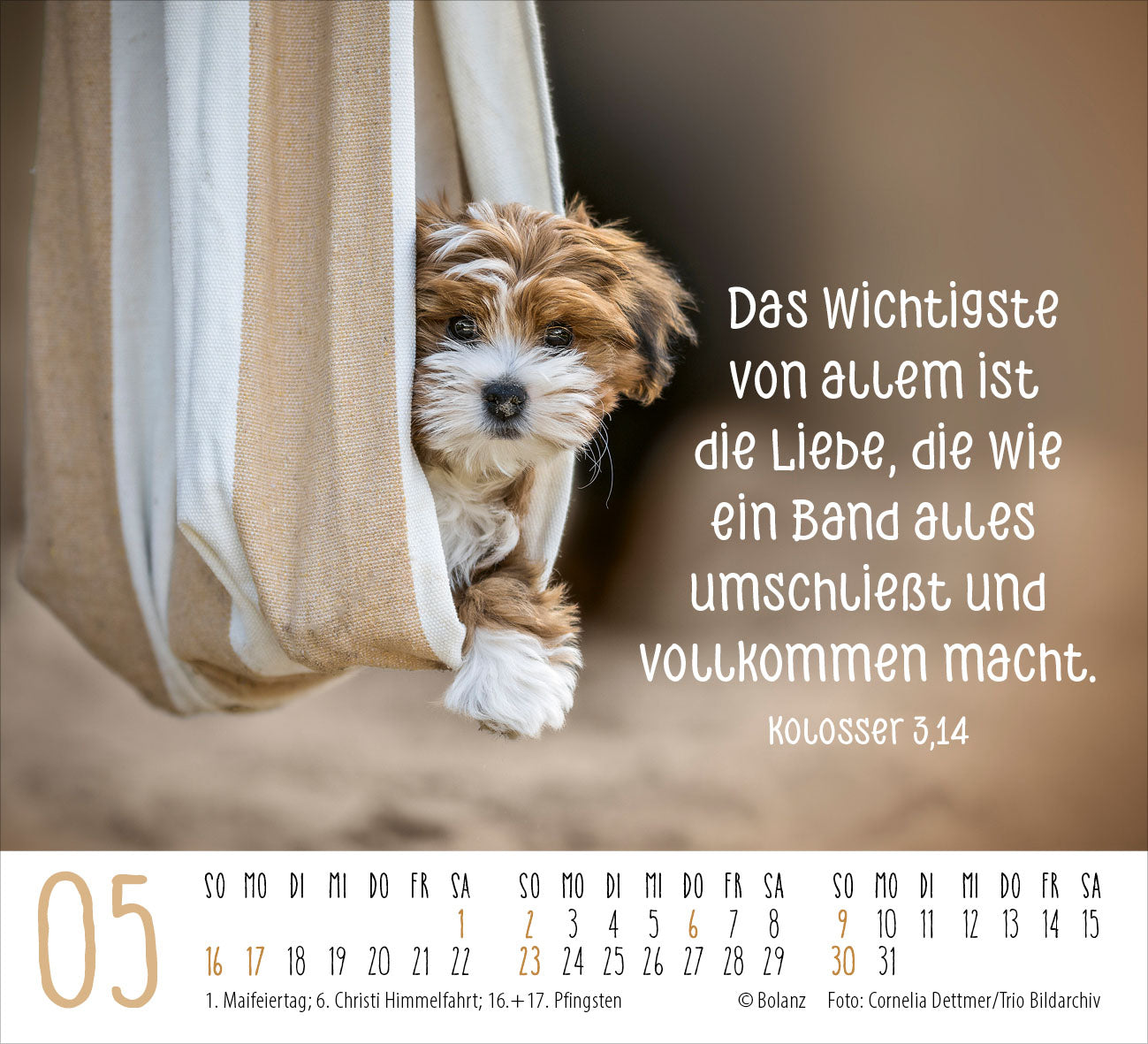 fontis-begegnungen-dich-vergess-ich-nie-minikalender-2027 image 7