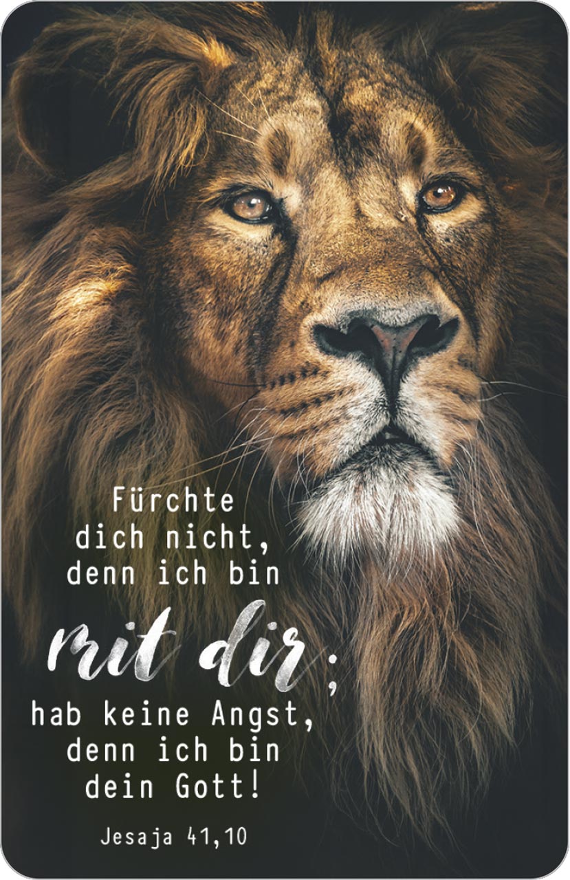 bolanz-f-rchte-dich-nicht-kalenderk-rtchen-l-we-2027-scheckkarte image 1