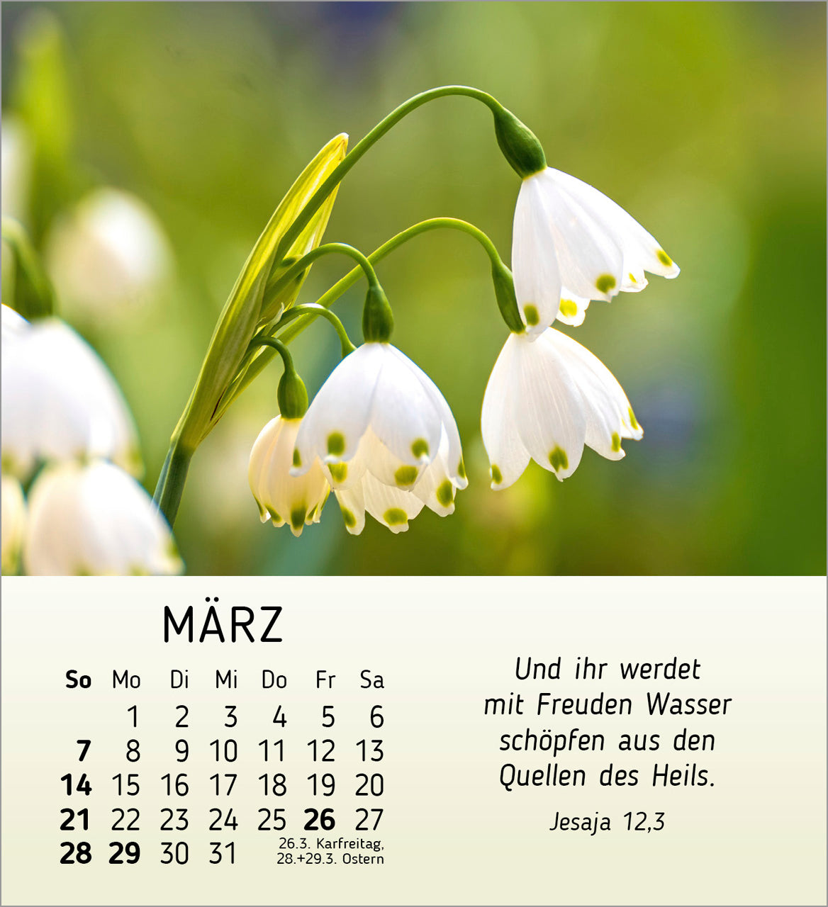 ich-w-nsch-dir-freude-2027-aufstellkalender-blumen image 5