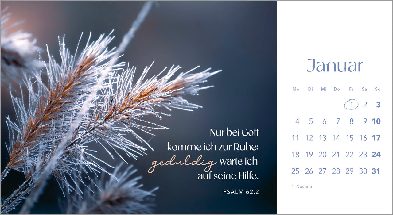 augenblicke-der-anbetung-2027-postkartenkalender-blumen image 3