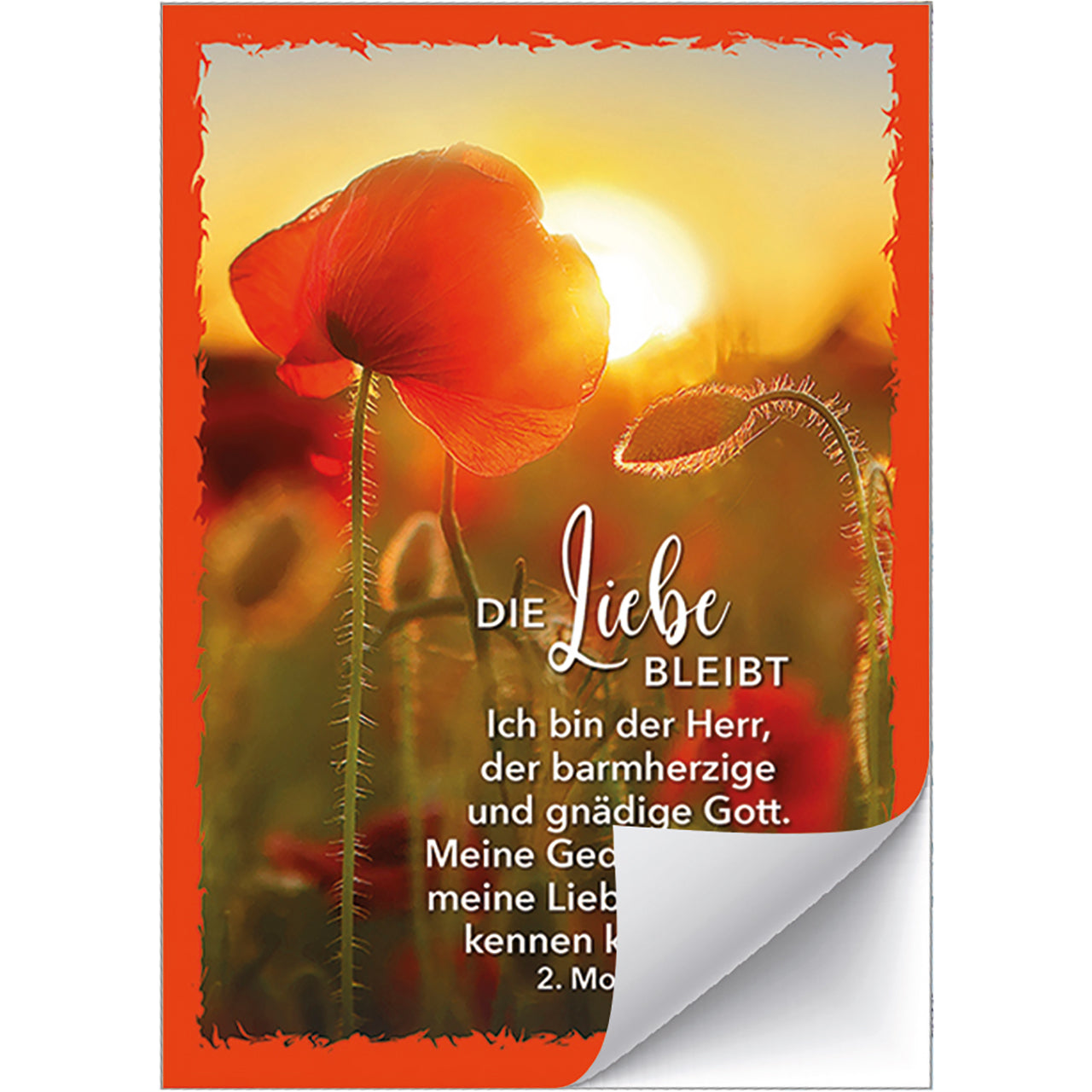 fontis-papeterie-die-liebe-bleibt-aufkleber-gru-karten-12er-set image 2