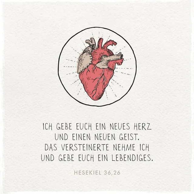 fontis-ein-neues-herz-holzschild-13x13-cm-hesekiel-36-26 image 1
