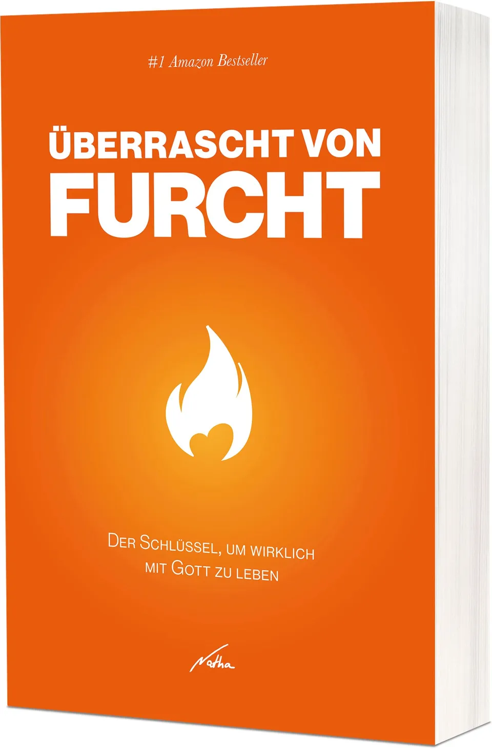 fontis-b-cher-berrascht-von-furcht-paperback-nathanael-bubenzer image 1