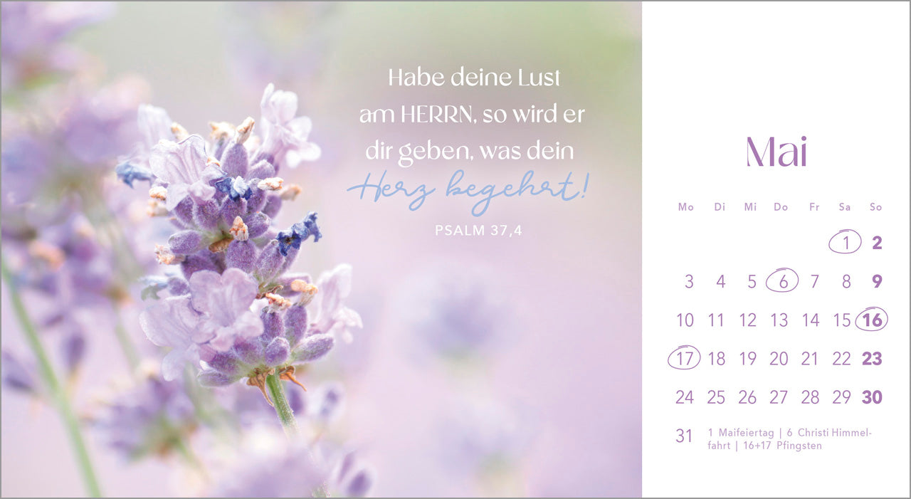 augenblicke-der-anbetung-2027-postkartenkalender-blumen image 7