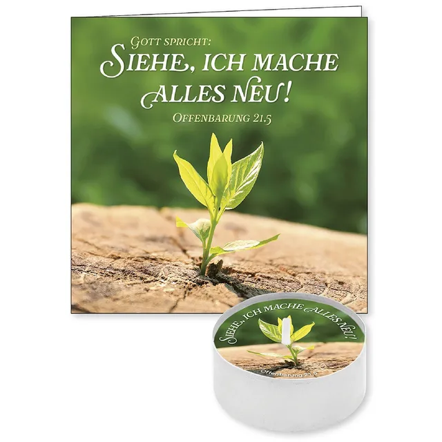 fontis-siehe-ich-mache-alles-neu-lichtgru-teelicht-2026 image 1