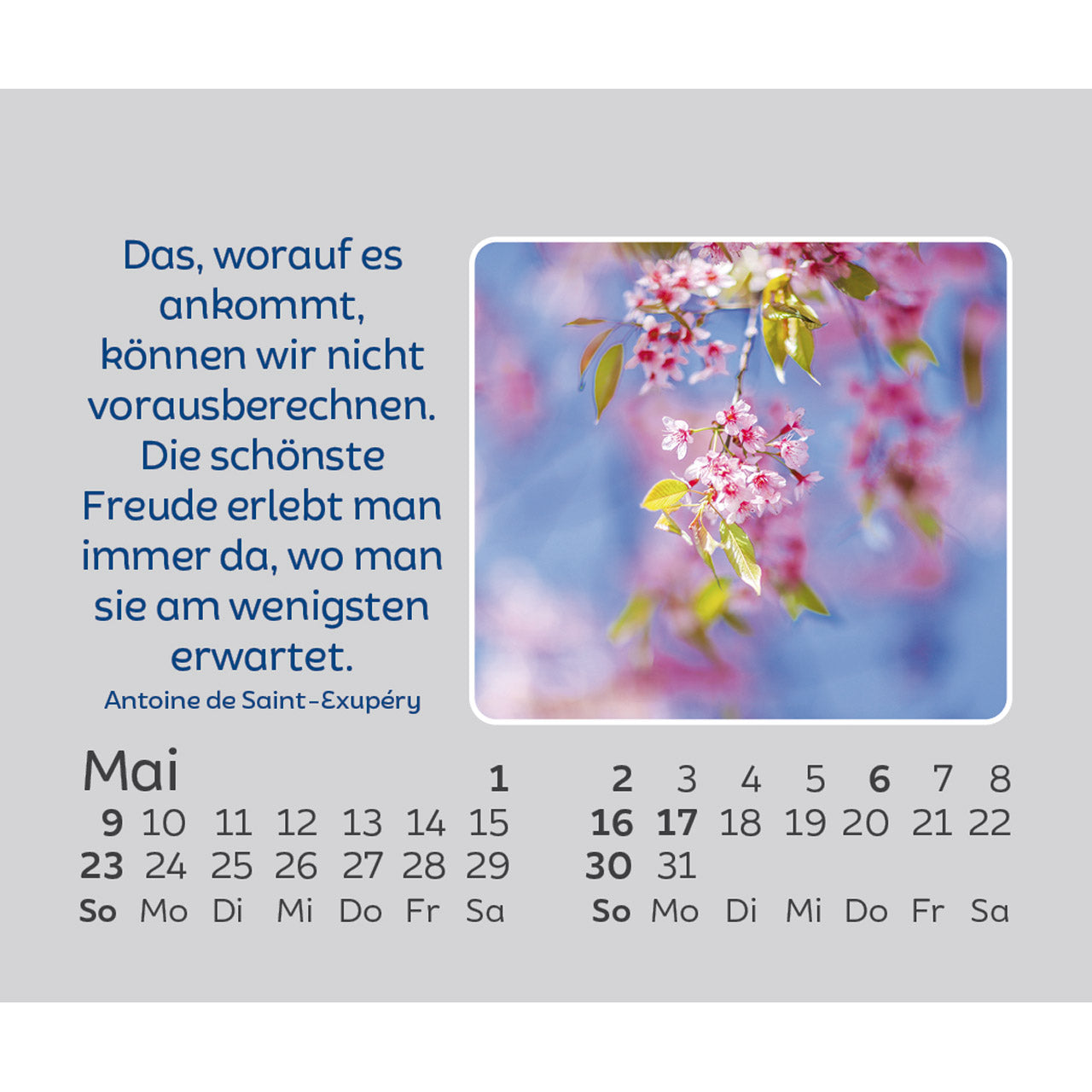 hoffnung-f-r-jeden-tag-2027-aufstellkalender-mini-kawohl image 7
