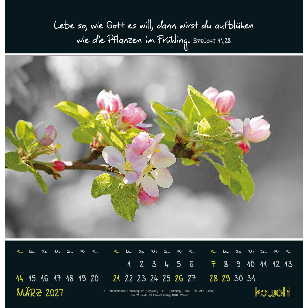 fontis-kleine-wunder-entdecken-2027-wandkalender image 5