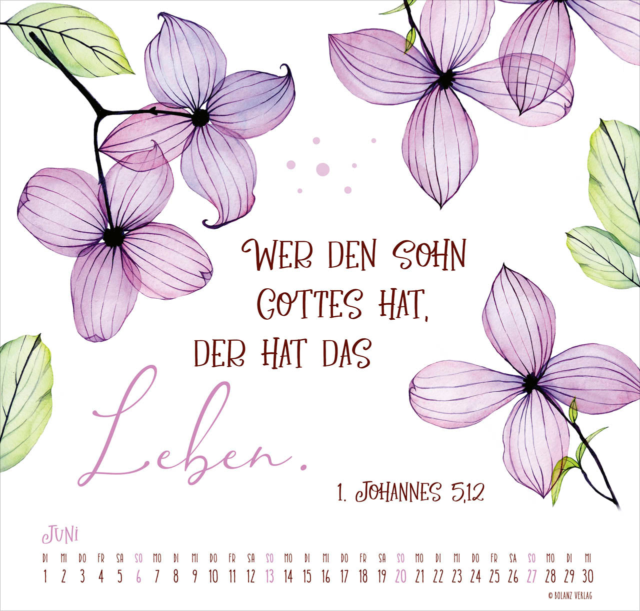 bolanz-gesegnet-tag-f-r-tag-2027-posterkalender-wandkalender image 8