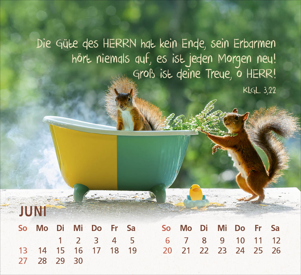 bolanz-du-bist-meine-freude-2027-tischkalender-eichh-rnchen image 8