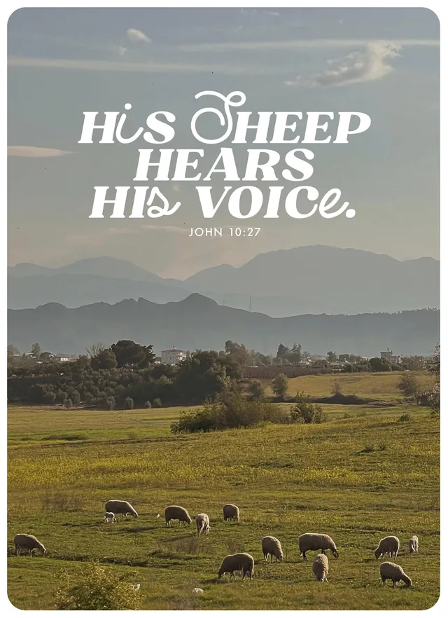 fontis-papeterie-his-sheep-hears-his-voice-postkarte-xl image 1