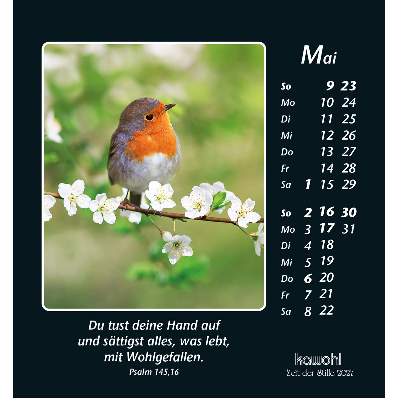 kawohl-zeit-der-stille-2027-aufstellkalender-psalmworte image 7