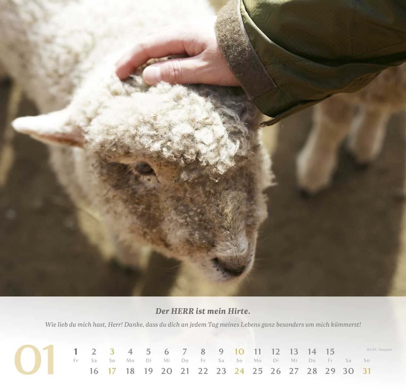 fontis-kalender-psalm-23-wandkalender-2027-der-herr-ist-mein-hirte image 2