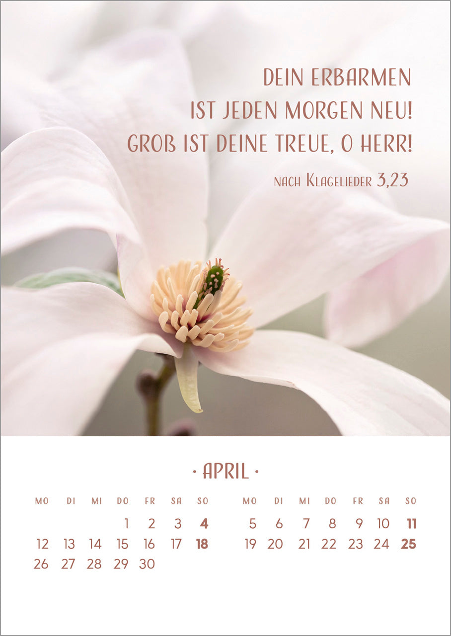 fontis-kalender-zarte-blumengr-e-2027-tischkalender-holzaufsteller image 7