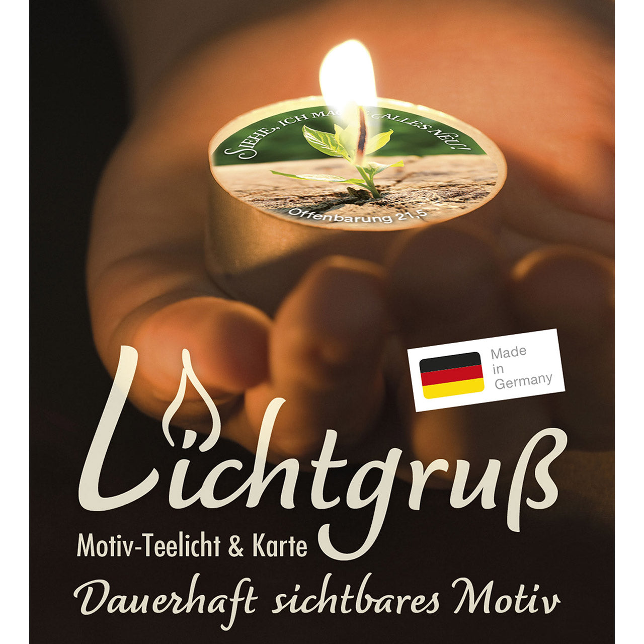 fontis-siehe-ich-mache-alles-neu-lichtgru-teelicht-2026 image 2