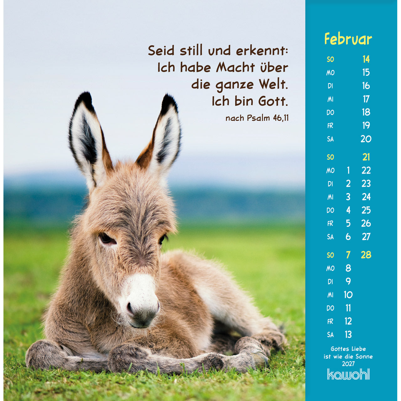 fontis-kalender-gottes-liebe-ist-wie-die-sonne-2027-postkartenkalender-tiere image 4