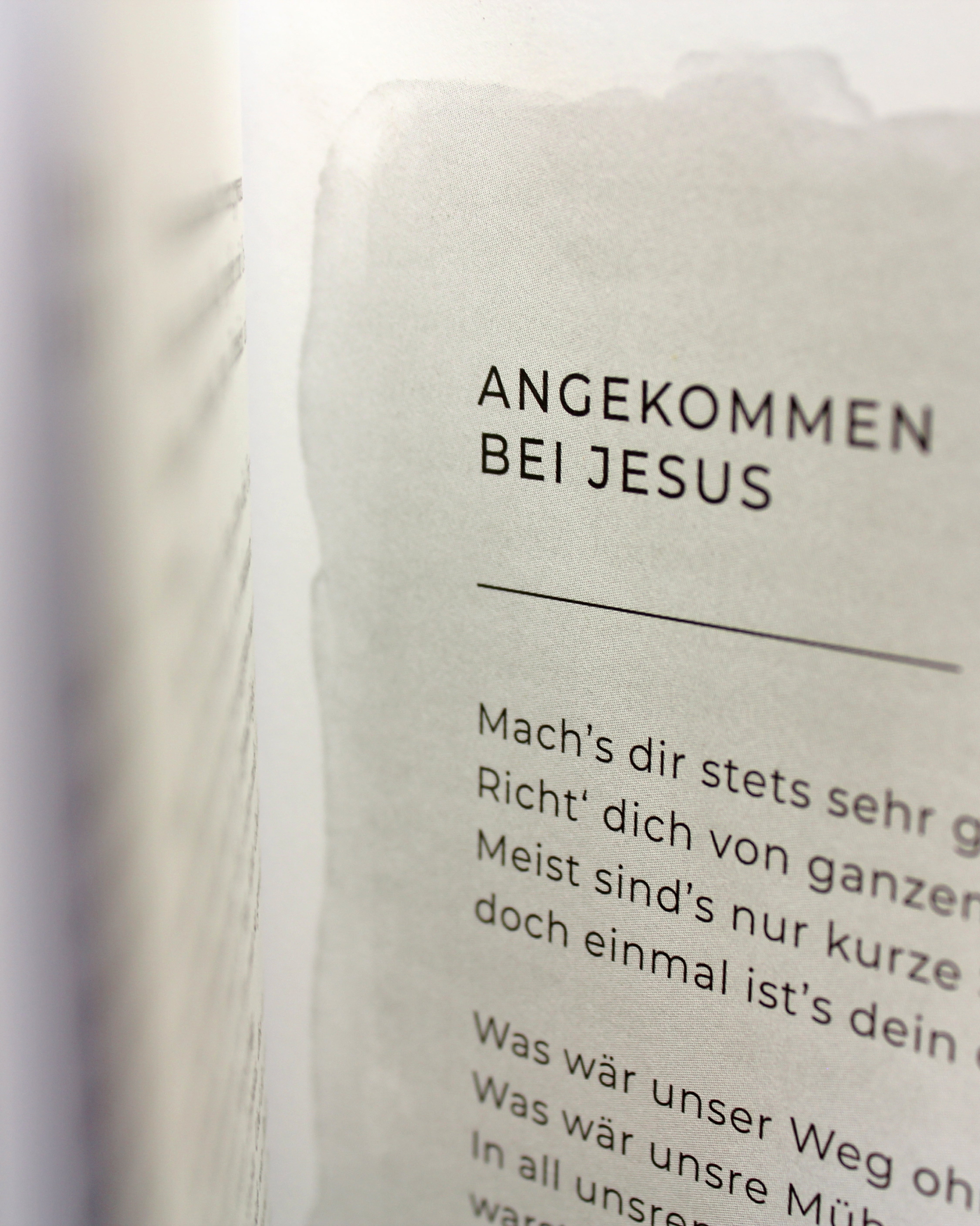 adeo-ver-nderung-darf-bl-ten-tragen-buch-mokosch image 4
