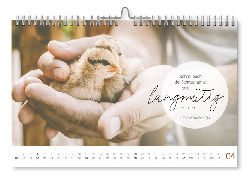 fontis-kalender-home-geborgen-bei-gott-2027-postkartenkalender image 3