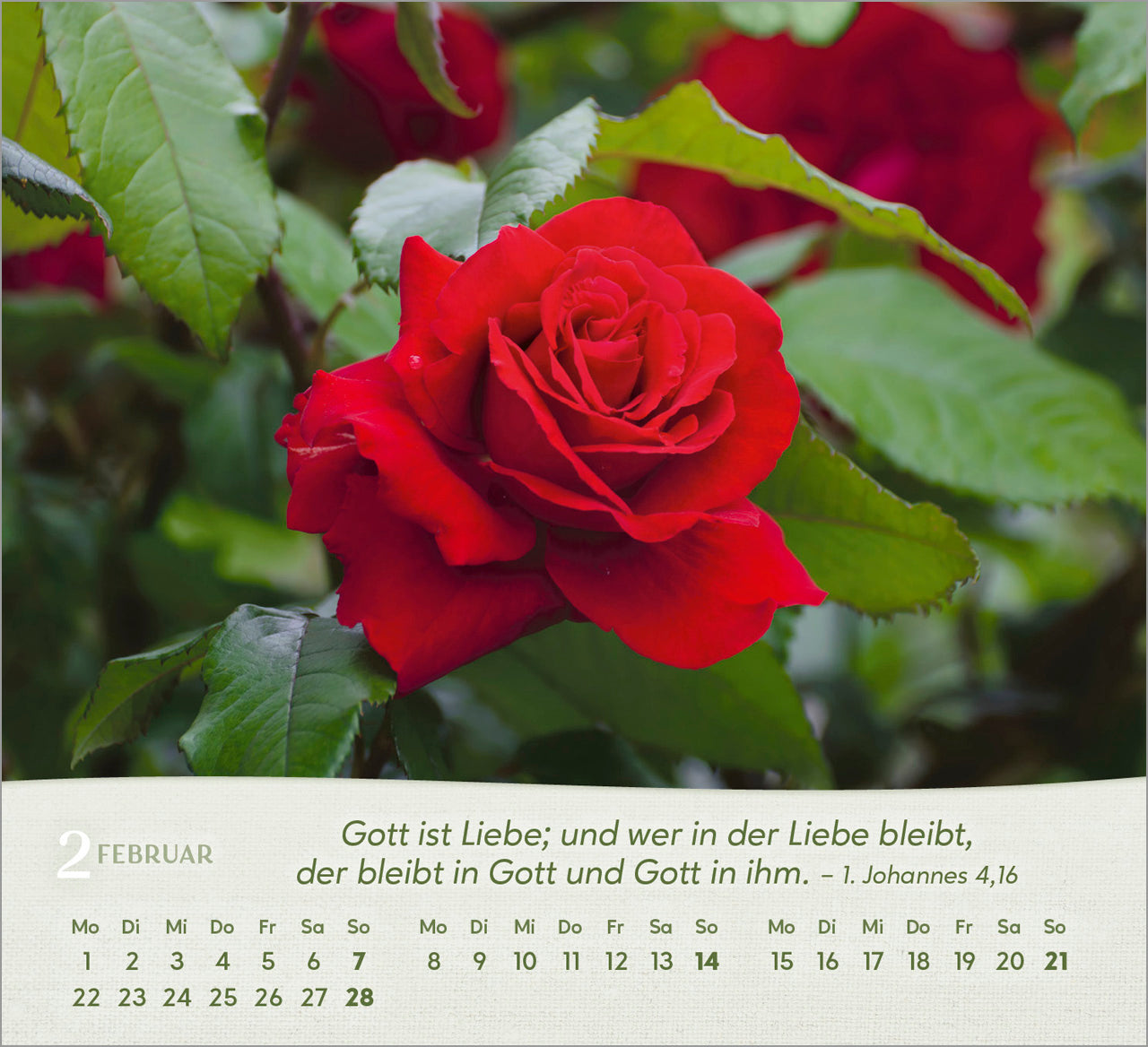 rosen-2027-aufstellkalender-tischkalender-bibelverse-spiralbindung image 4