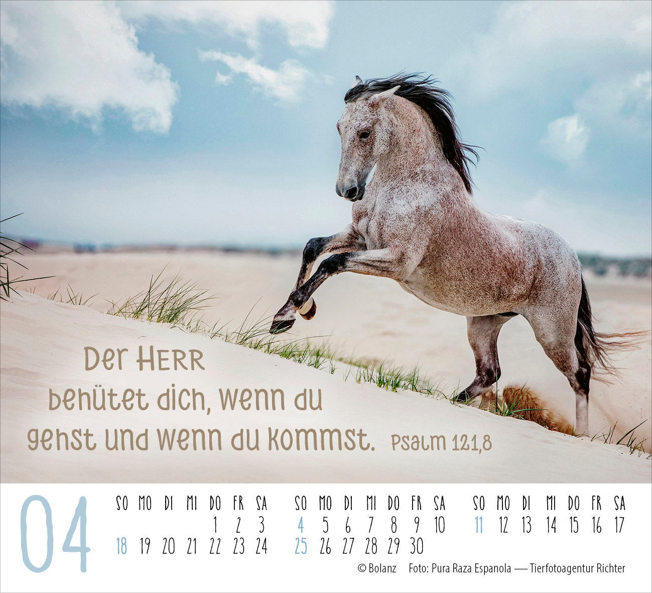 fontis-pferde-2027-minikalender-tischkalender-mit-bibelversen image 6