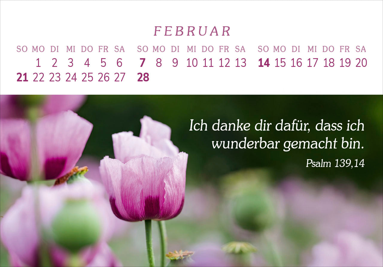 fontis-das-geschenk-der-freude-2027-aufstellkalender-gro-druck image 4
