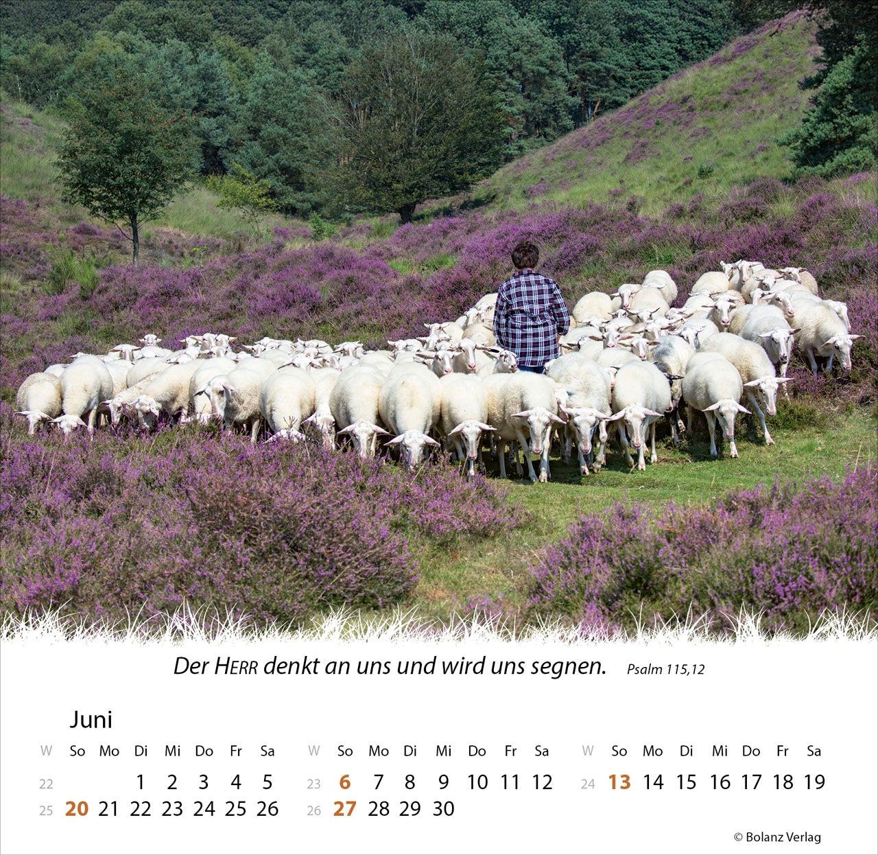 ein-leben-f-r-die-schafe-2027-tischkalender-schafe image 8