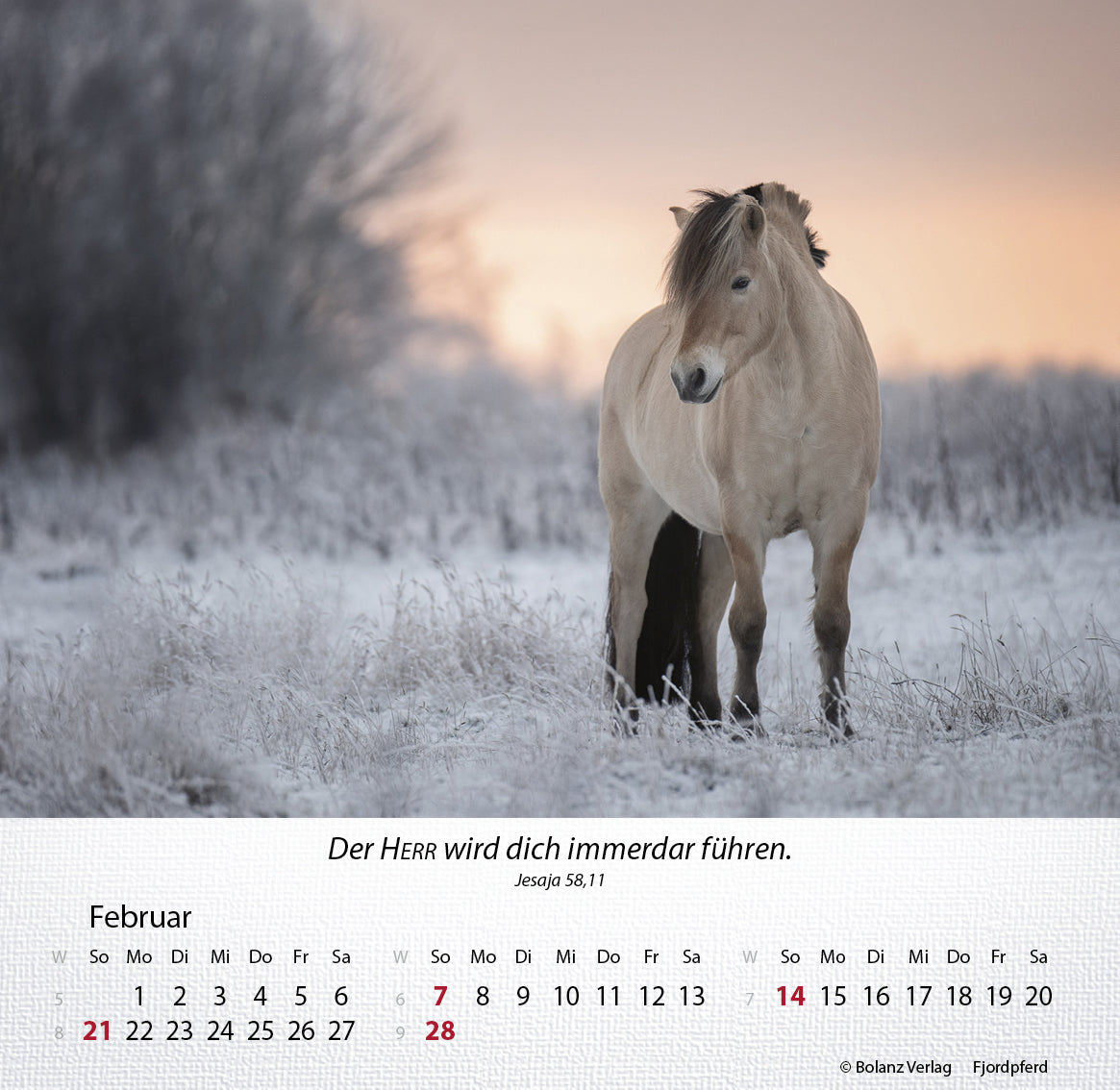 fontis-kalender-pferde-2027-tischkalender-mit-bibelversen image 3