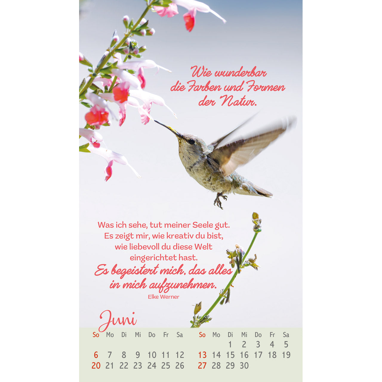 fontis-befl-gelt-und-geborgen-postkartenkalender-2027-v-gel image 8