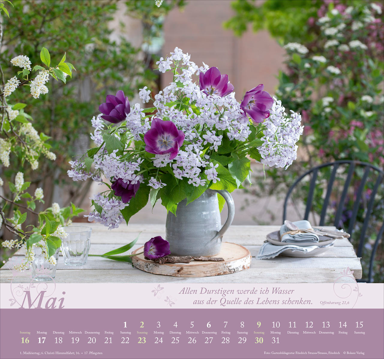 fontis-im-garten-zuhause-2027-wandkalender-mit-bibelversen image 7