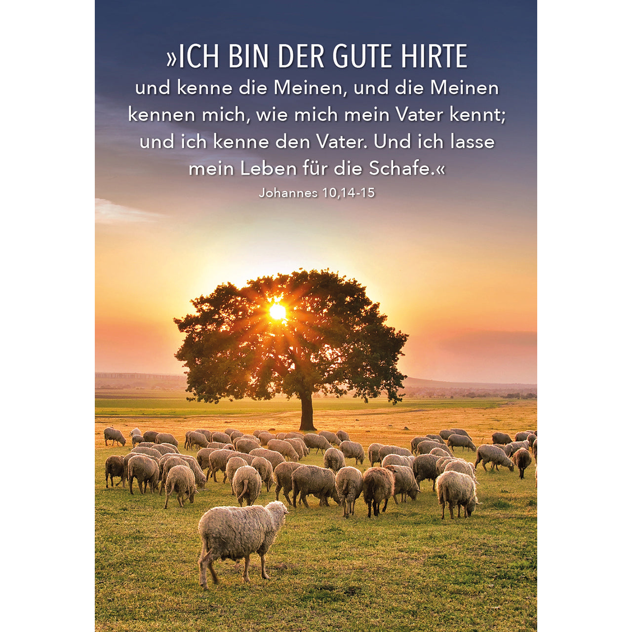 fontis-jesus-worte-karten-box-bibelverse-55-karten image 2