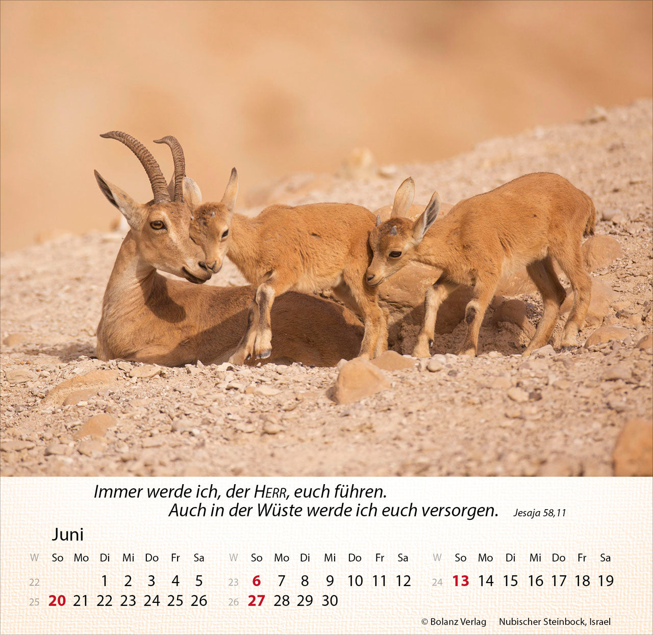 fontis-israel-shalom-2027-tischkalender-aufsteller-spiralbindung image 8