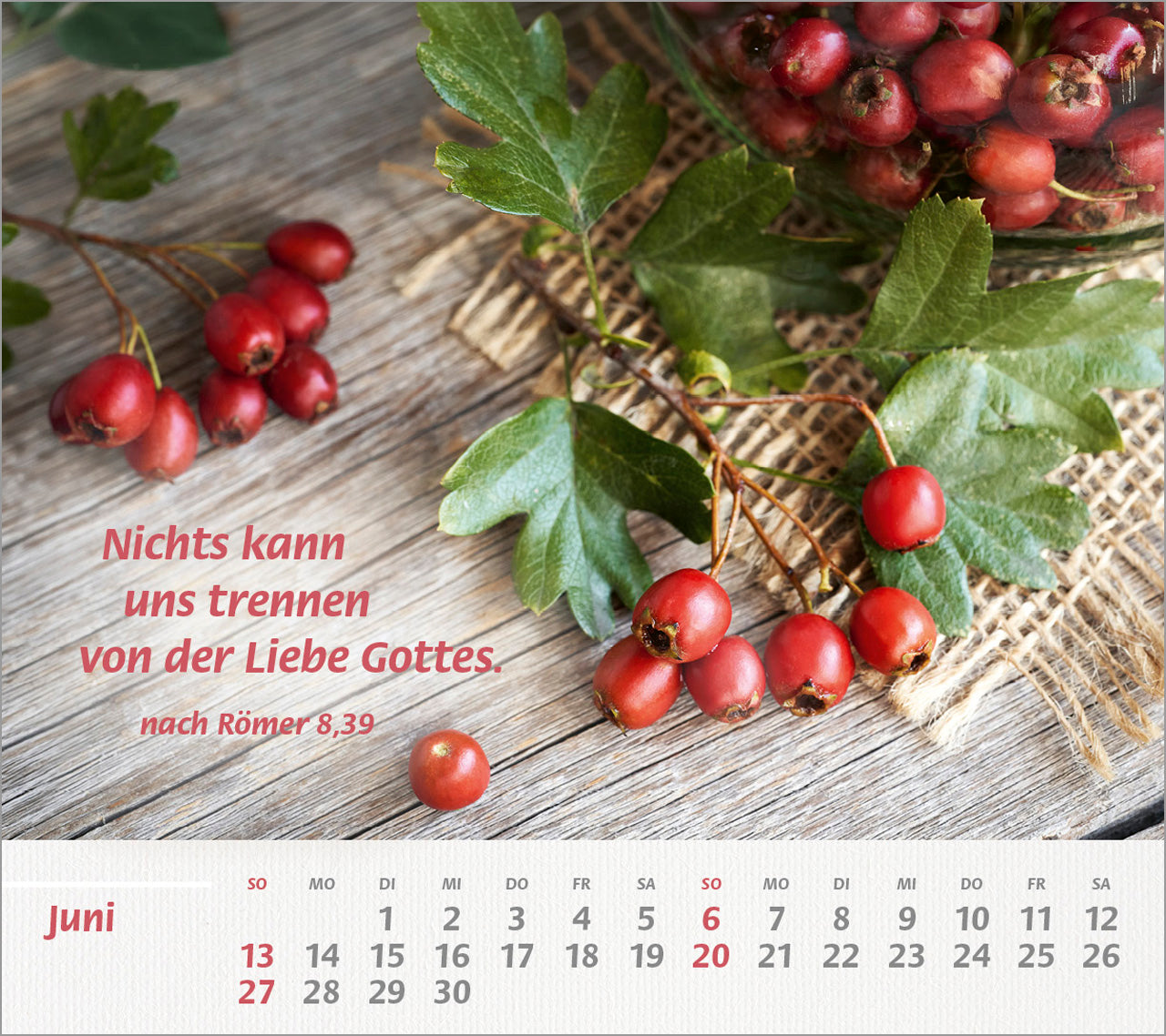 fontis-du-bist-meine-st-rke-2027-postkartenkalender image 8