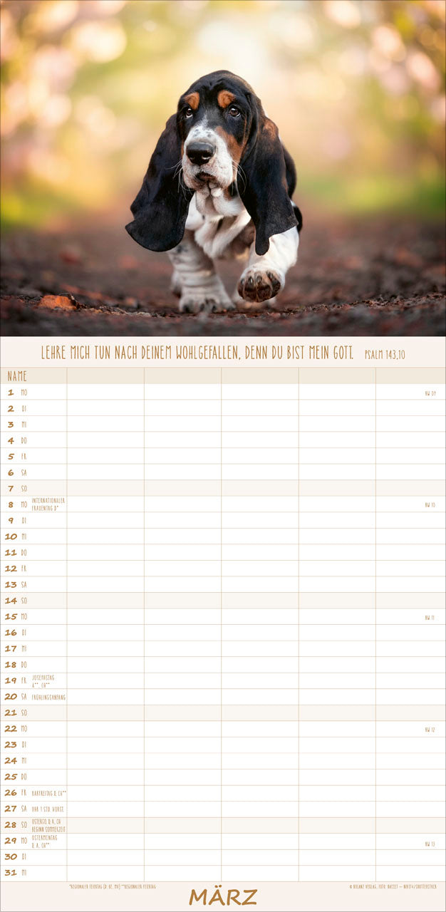 fontis-kalender-hunde-freunde-f-rs-leben-2027-familienplaner image 5