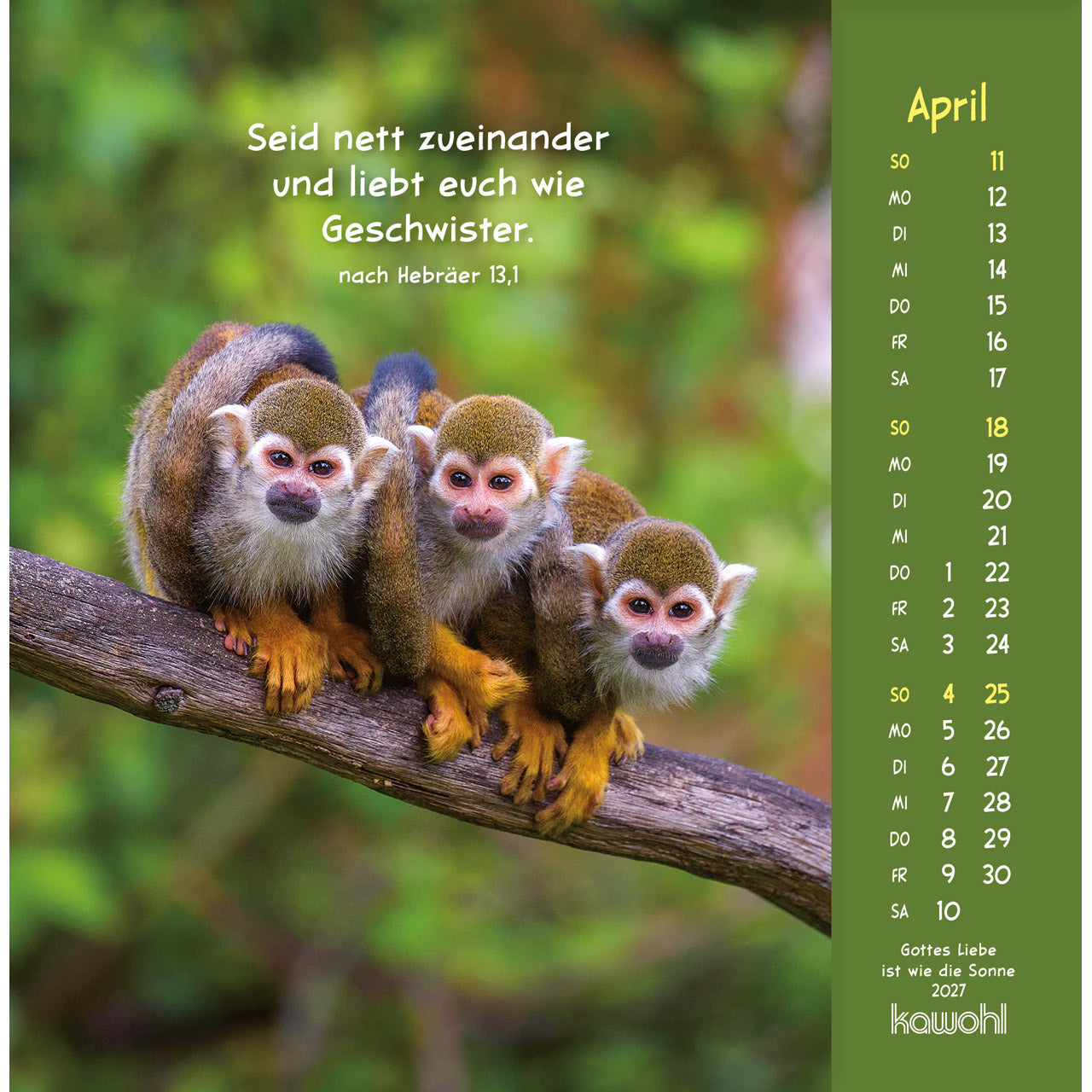 fontis-kalender-gottes-liebe-ist-wie-die-sonne-2027-postkartenkalender-tiere image 6