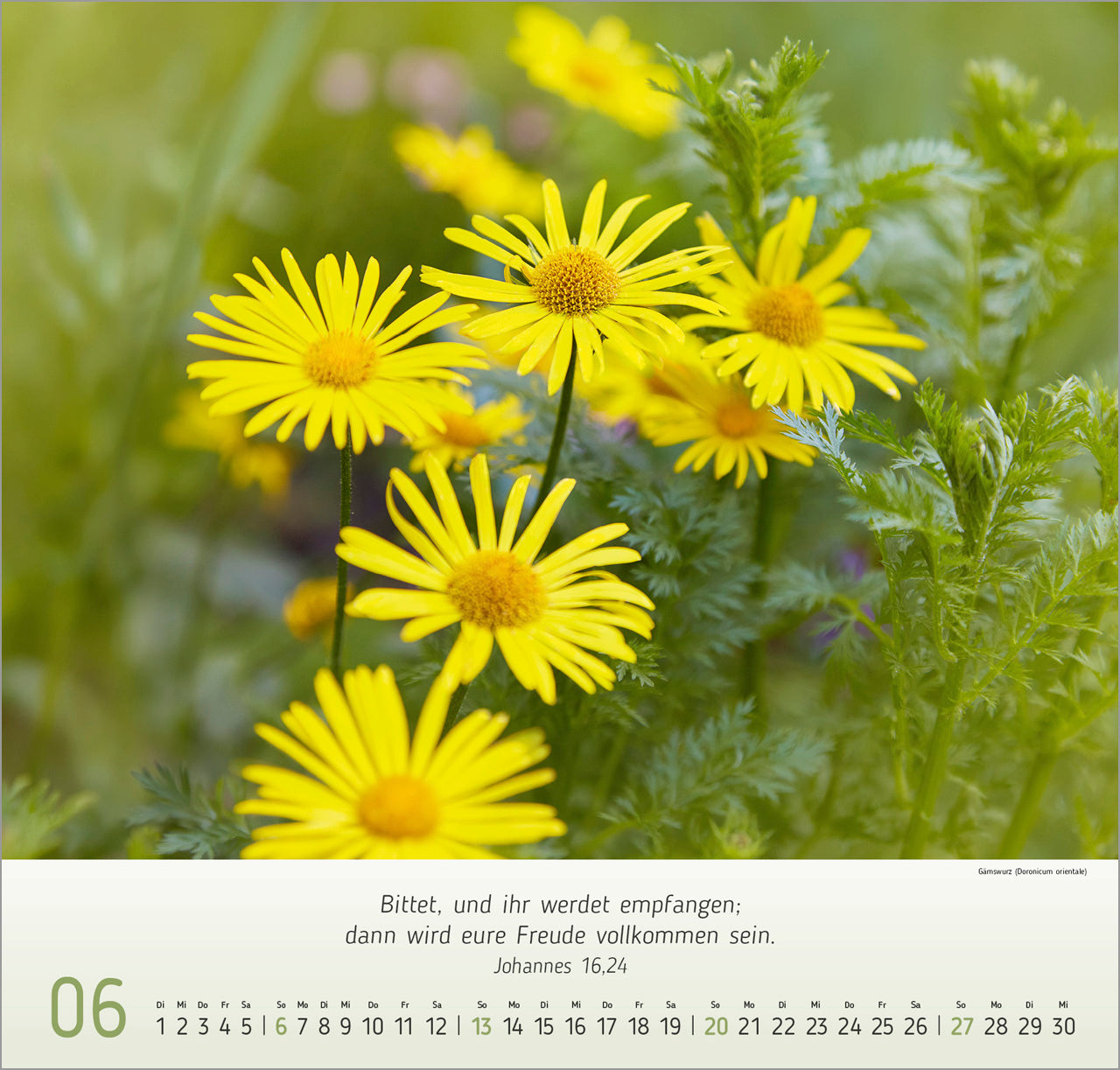 fontis-kalender-blumen-impressionen-2027-wandkalender-blumen image 8