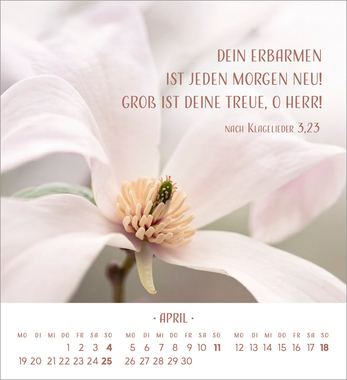 fontis-zarte-blumengr-e-2027-aufstellkalender image 6